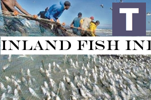 Inland fish industry set for larger target