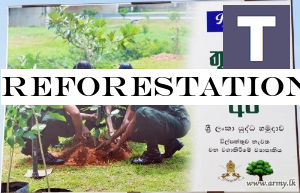 Reforestation as Tribute to National War Heroes' Commemoration