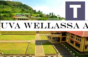 Uva Wellassa and Sabaragamuwa Universities to resume tomorrow