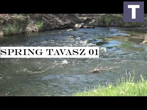 SPRING TAVASZ 01