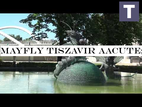 MAYFLY TISZAVIR Aacute;G