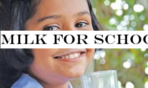 Milk for schoolchildren: To build a healthy future generation