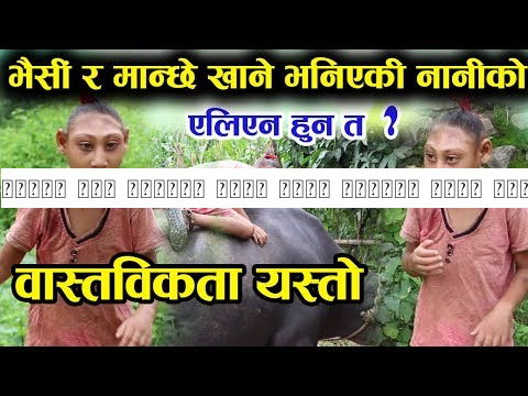 भैंसी सँग खेल्ने सर्प खाने नानीको घरमा पुग्दा यथार्त यस्तो - एलिएन हुन त् ? भिडियो हेर्नुहोस्