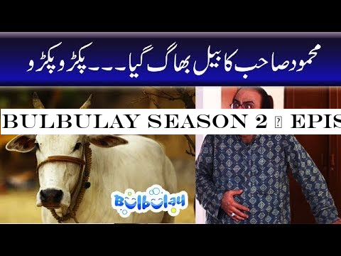 Bulbulay Season 2 | Episode 13 | Ayesha Omer -Nabeel