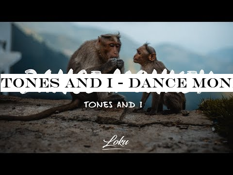 Tones And I - Dance Monkey (Lyrics)