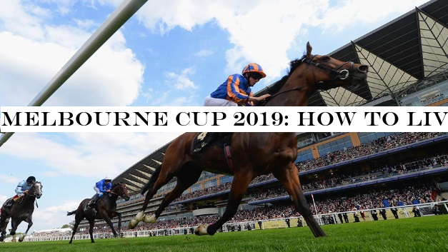 Melbourne Cup 2019: how to live stream the race in Australia