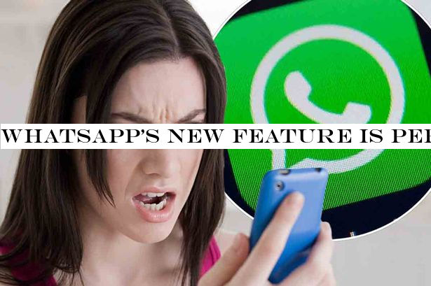 WhatsApp's new feature is perfect if you're always being added to annoying group chats