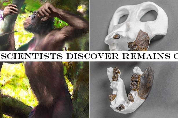 Scientists discover remains of mysterious ape species with 'human-like legs'