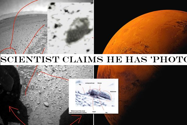 Scientist claims he has 'photographic evidence' of aliens on Mars