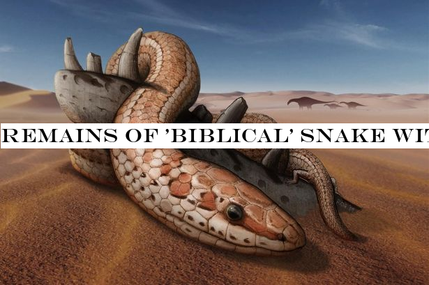 Remains of 'biblical' snake with hind legs and enormous mouth discovered