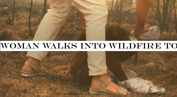 Woman walks into wildfire to save badly burnt koala