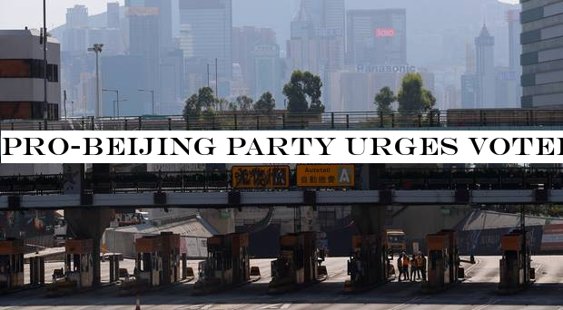 Pro-Beijing party urges voters to ‘kick out the black force& in Hong Kong poll