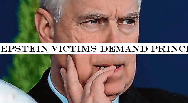 Epstein victims demand Prince Andrew helps investigation into paedophile