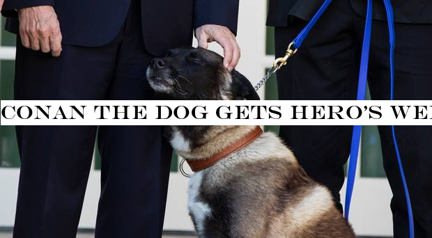 Conan the dog gets herowelcome at White House after al-Baghdadi raid