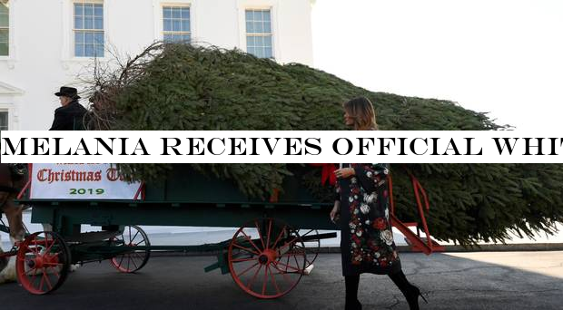 Melania receives official White House Christmas tree