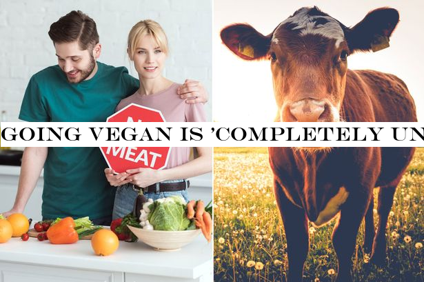 Going vegan is 'completely unnecessary', scientists warn as numbers skyrocket