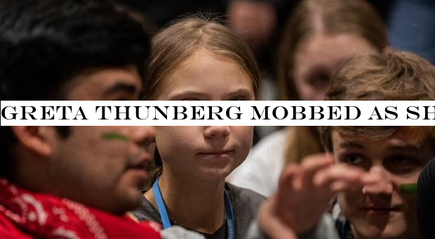 Greta Thunberg mobbed as she arrives in Madrid for climate change meeting