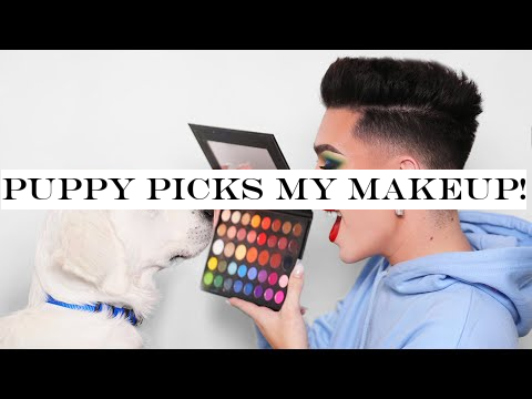 Puppy Picks My Makeup!