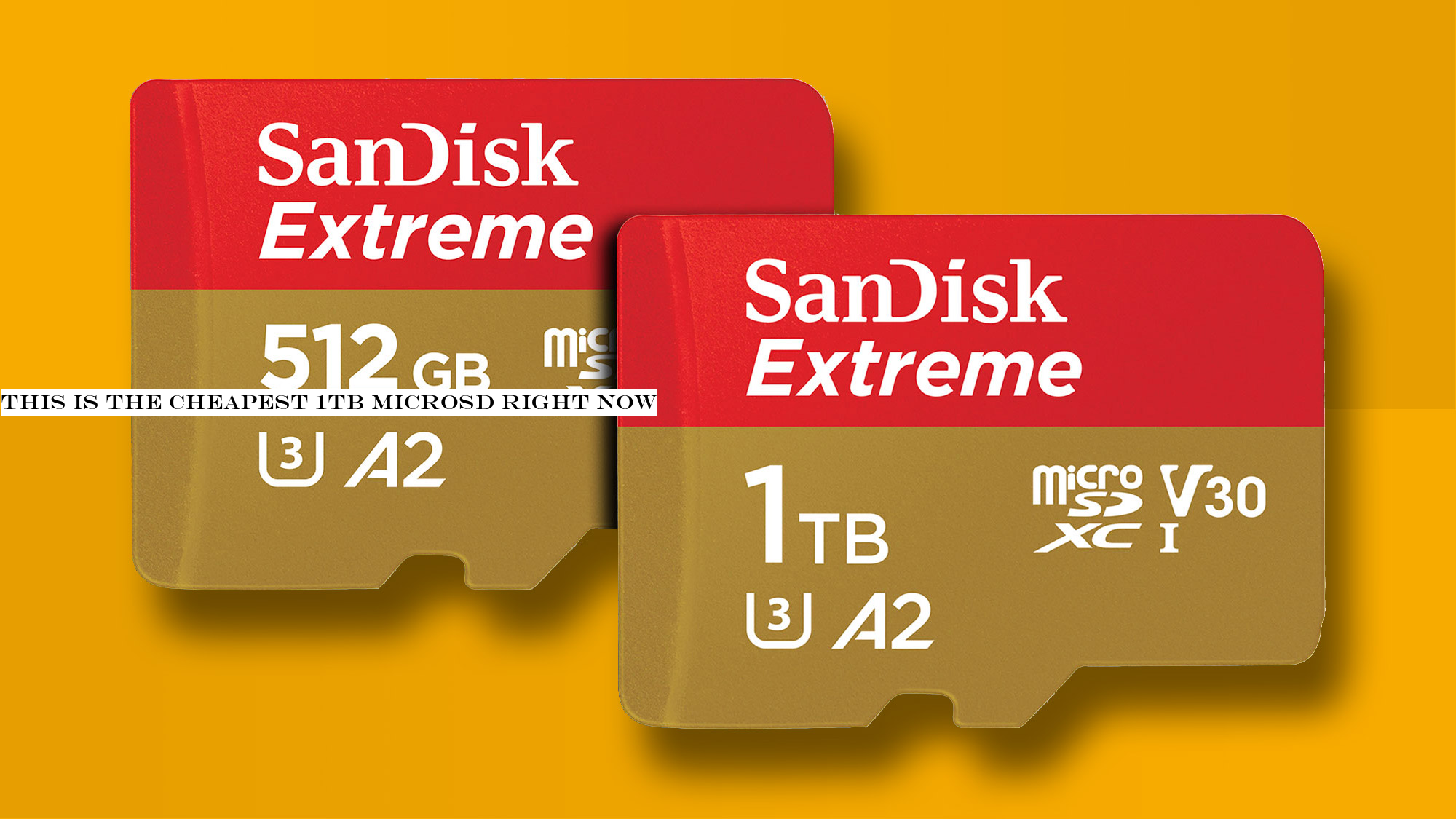 This is the cheapest 1TB microSD right now