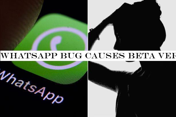 WhatsApp bug causes beta version of app to crash for frustrated testers