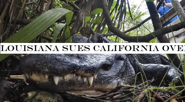 Louisiana sues California over alligator ban