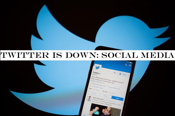 Twitter is down: Social media site crashes for users across UK and US