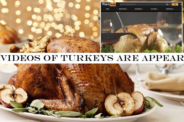 Videos of turkeys are appearing on porn sites - but there's an important reason why