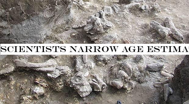 Scientists narrow age estimate for fossils of human ancestor