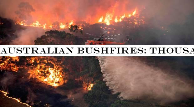 Australian bushfires: Thousands trapped on beaches as wildfires rage