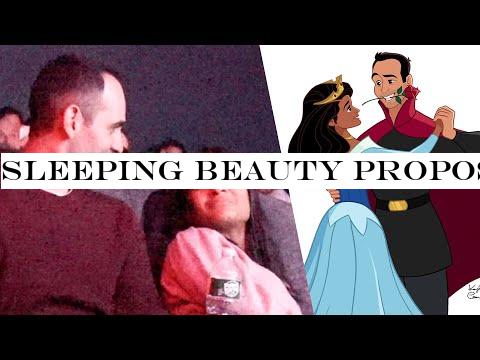 Sleeping Beauty Proposal