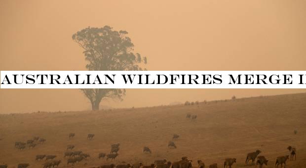 Australian wildfires merge into massive inferno