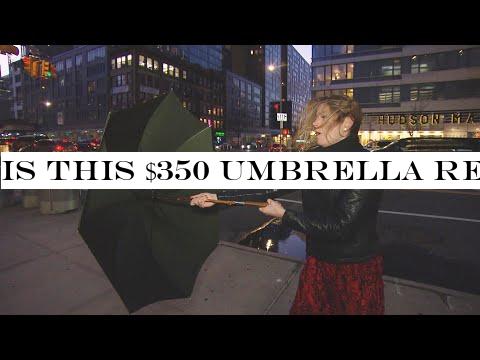 Is This $350 Umbrella Really Indestructible?