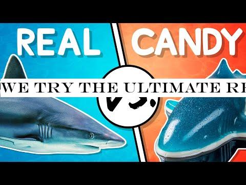 We Try the Ultimate Real vs Candy Challenge