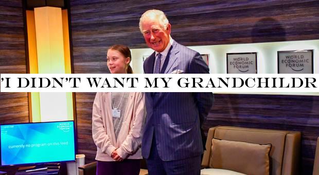 'I didn't want my grandchildren to accuse me of not doing something about climate change in time' - Prince Charles