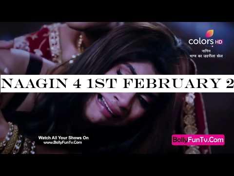 Naagin 4 1st February 2020 Episode