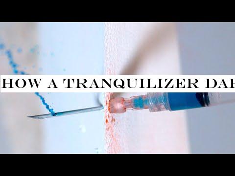 How a Tranquilizer Dart Works in Slow Motion - The Slow Mo Guys