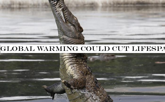 Global warming could cut lifespan of hundreds of cold-blooded species