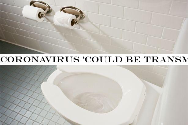 Coronavirus 'could be transmitted through toilet water', scientists claim