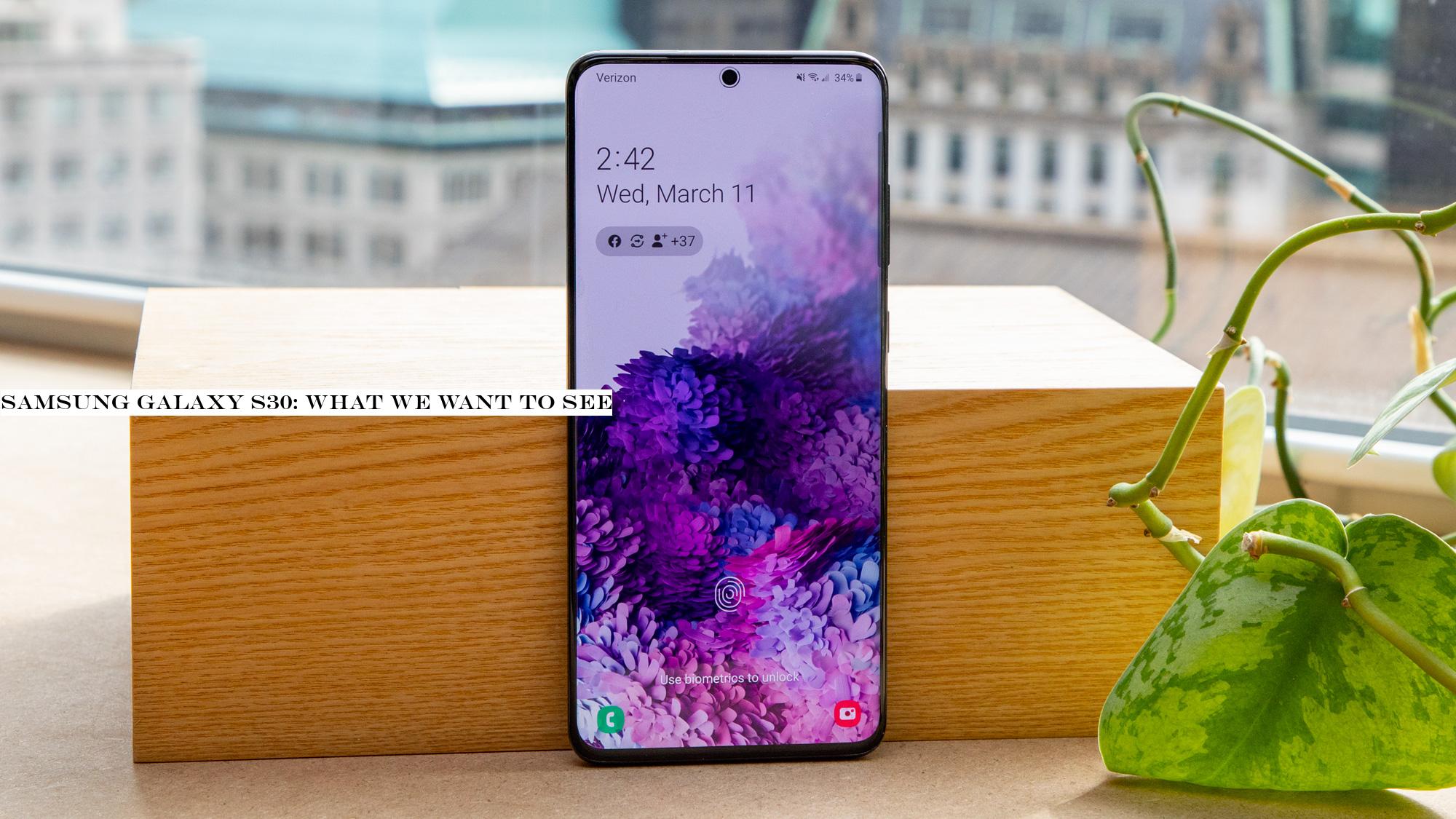 Samsung Galaxy S30: what we want to see