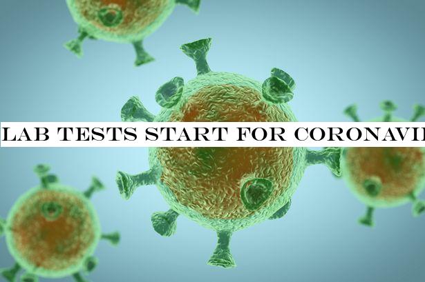 Lab tests start for coronavirus vaccine and human trials could begin this month