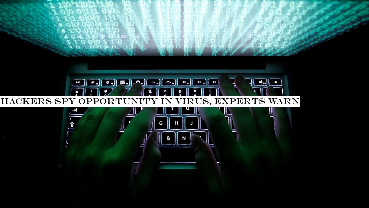 Hackers spy opportunity in virus, experts warn