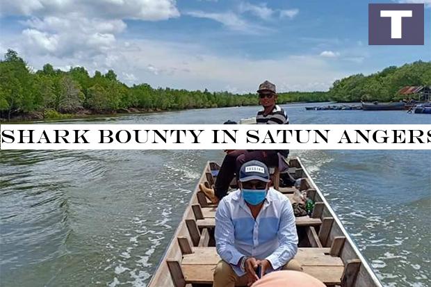 Shark bounty in Satun angers environment minister